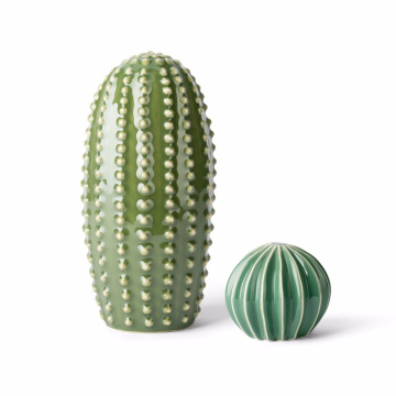 Cactus de porcelana